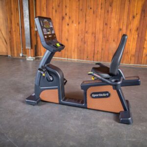 C576R Status Recumbent Cycle