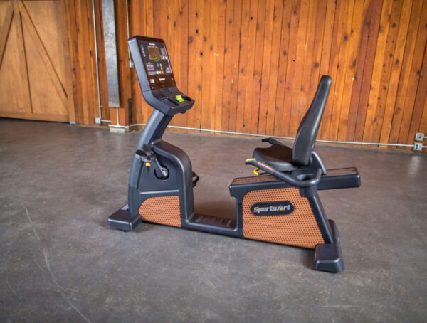 C576R Status Recumbent Cycle