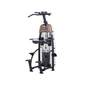 N911 Status Assisted Chin-Up & Tricep Dip