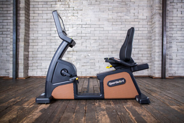 C576R STATUS RECUMBENT CYCLE - Image 4