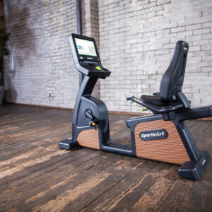 C576R STATUS RECUMBENT CYCLE