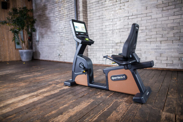 C576R STATUS RECUMBENT CYCLE