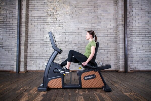 C576R STATUS RECUMBENT CYCLE - Image 3