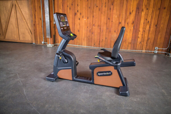 C576R STATUS RECUMBENT CYCLE - Image 10