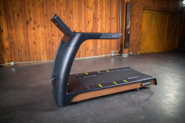 T676 Treadmill
