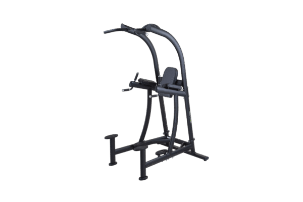 SportsArt A994 VKR Chin Dip Station