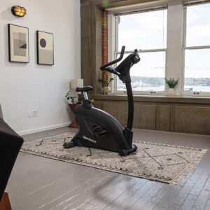 SportsArt C55U Upright Cycle