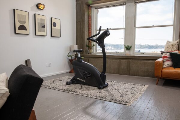 SportsArt C55U Upright Cycle