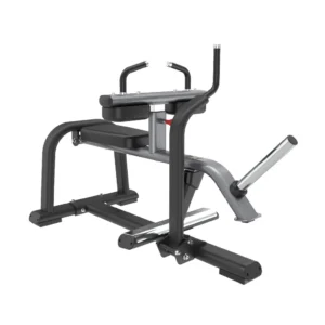 SEATED CALF RAISE