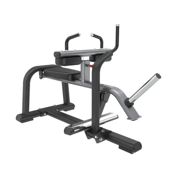 SEATED CALF RAISE