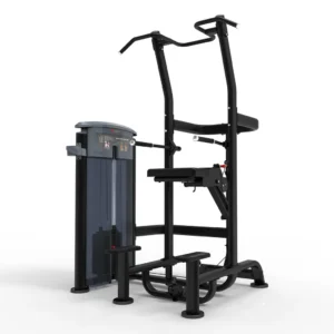 Weight Assisted Chin/Dip