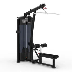 Lat Pulldown / Vertical Row