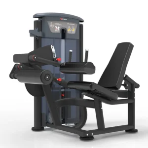 Seated Leg Curl